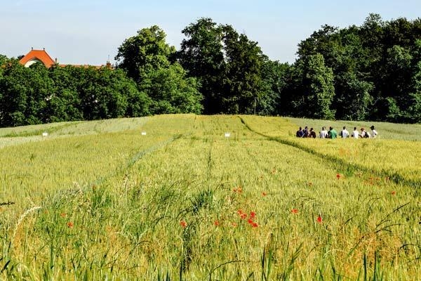 munsingen