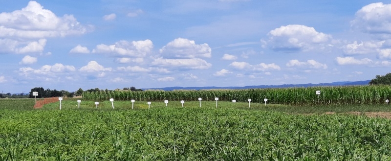 Vf_FoaK_Preuner_2023-07-20
