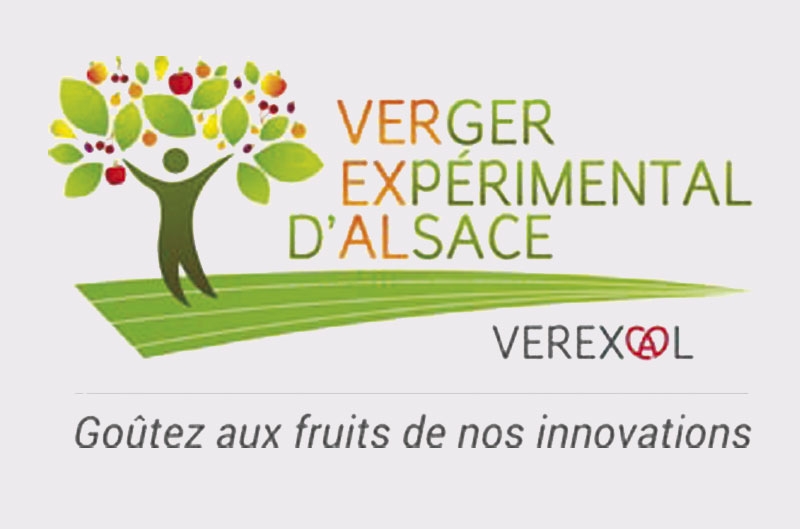 Verger Expérimental d'Alsace (VEREXAL)